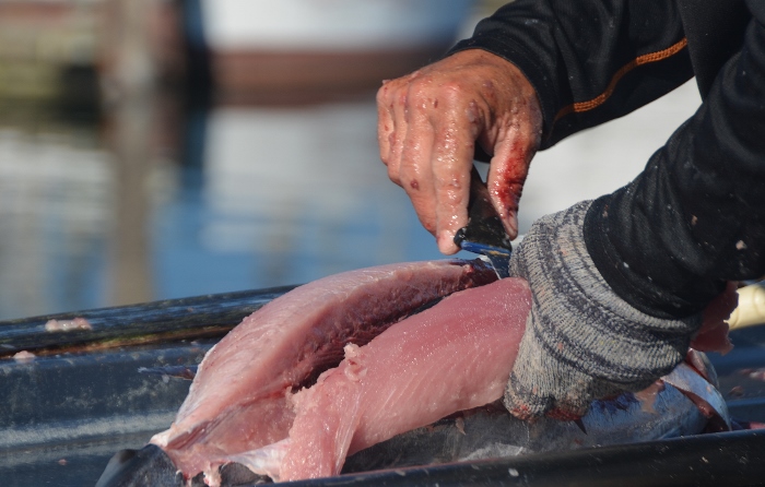 close up of fish cleaning